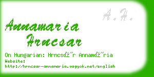 annamaria hrncsar business card